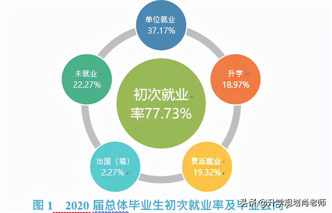 延边大学211就业前景,延边大学2019就业报告