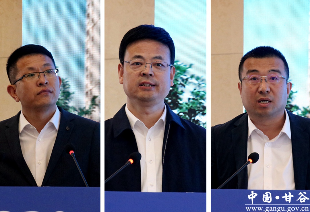 天水甘谷大像山文化旅游节,甘谷县大像山文化旅游节