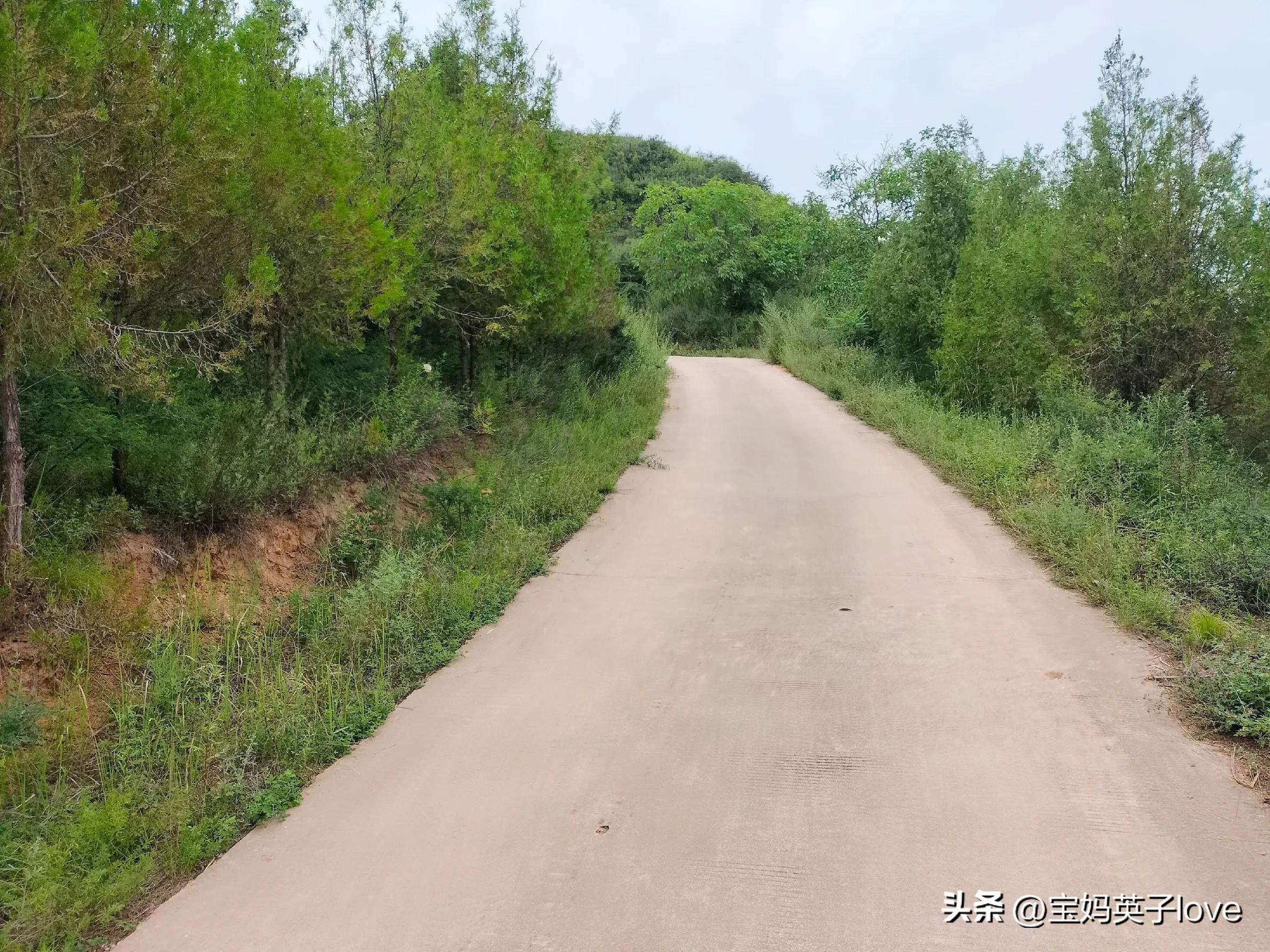 回家时归心似箭离别时依依不舍,回家时归心似箭离家时依依不舍