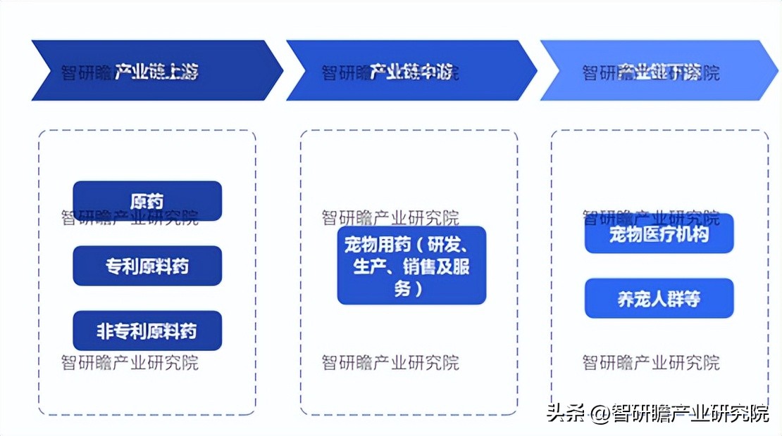 宠物医疗行业发展趋势及投资展望,中国宠物医疗市场分析报告总结