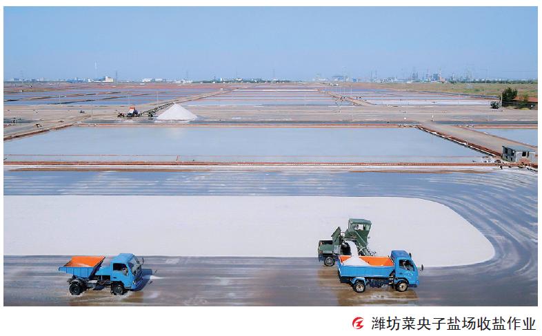 山东国惠最新消息,山东国惠工资待遇