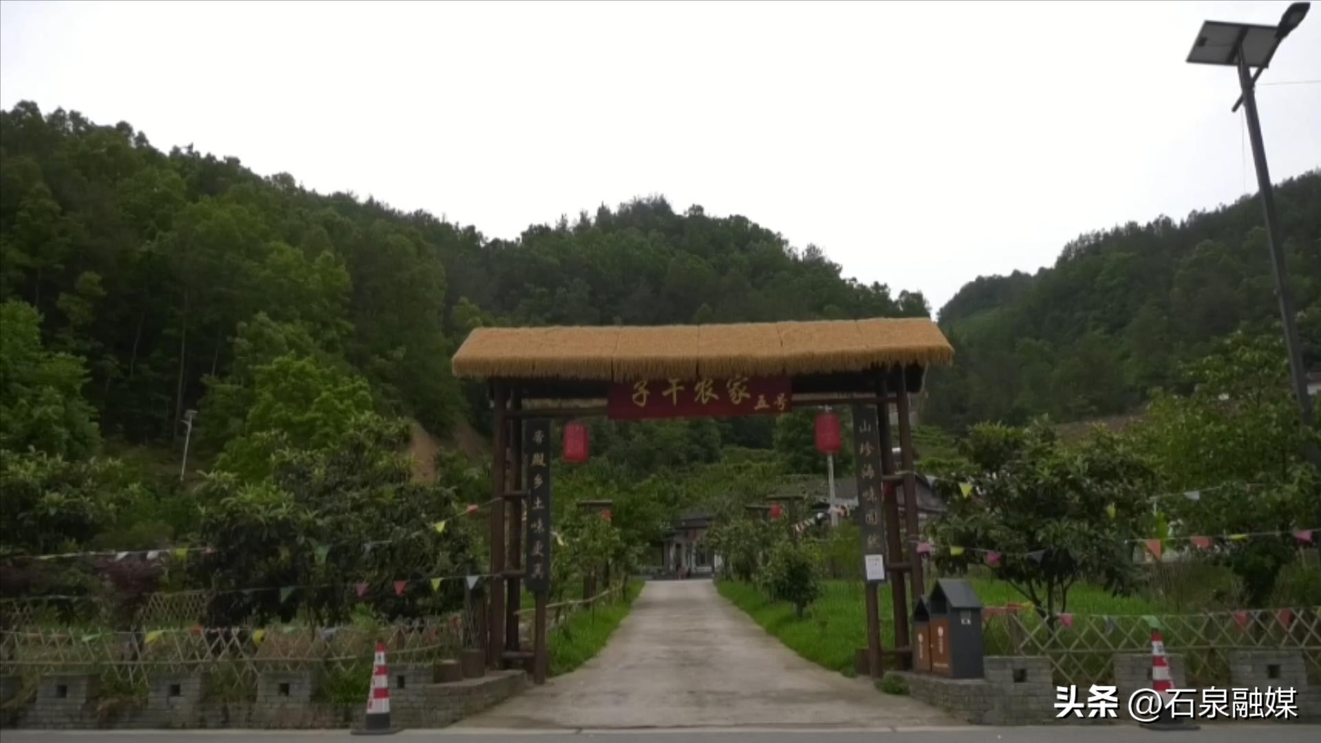 乡村振兴看大田围村,乡村振兴看永兴花海