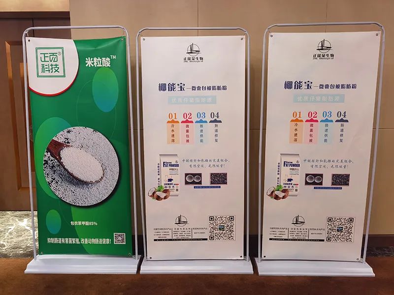 聚焦创新突破研讨发言材料,饲料企业爆品突破研讨会