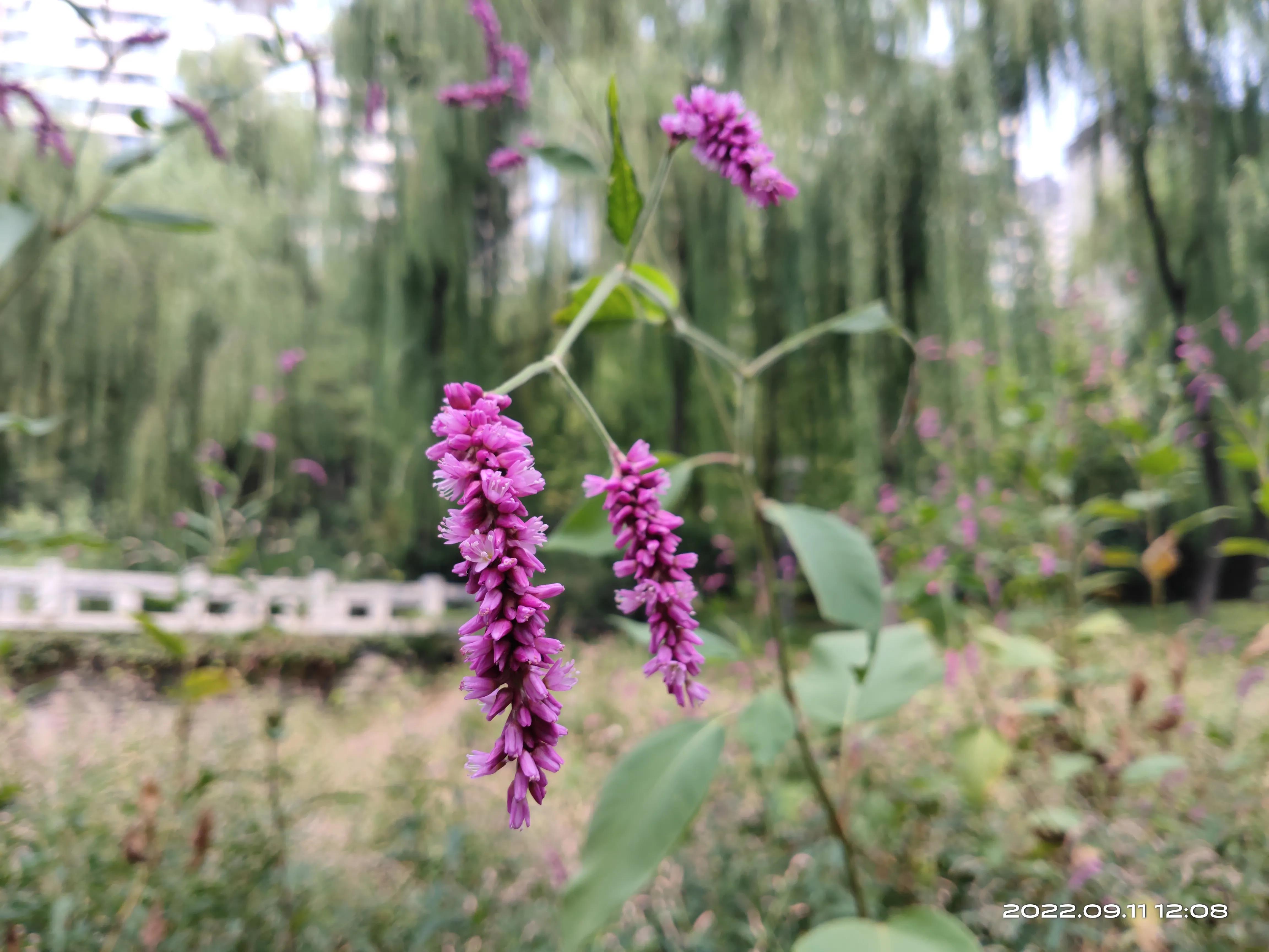 济南森林公园,济南森林公园周边游玩