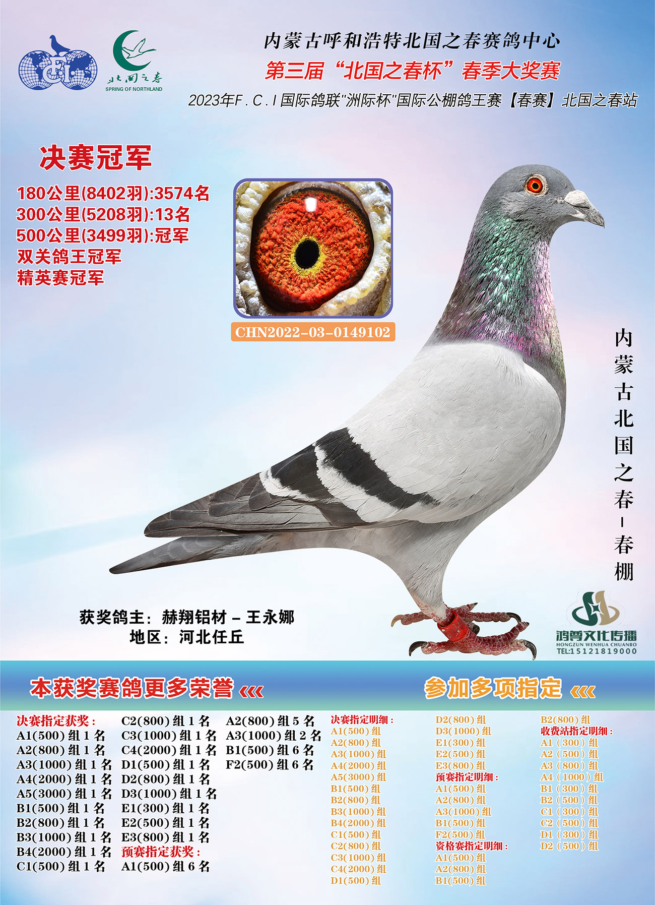 2023年国内公棚春赛冠军鸽合集，都是些什么鸽子？