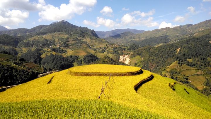 期货高手5秒周期交易技巧,期货高手的真实案例讲解