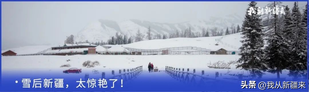 入疆旅游攻略,一篇攻略秒懂新疆