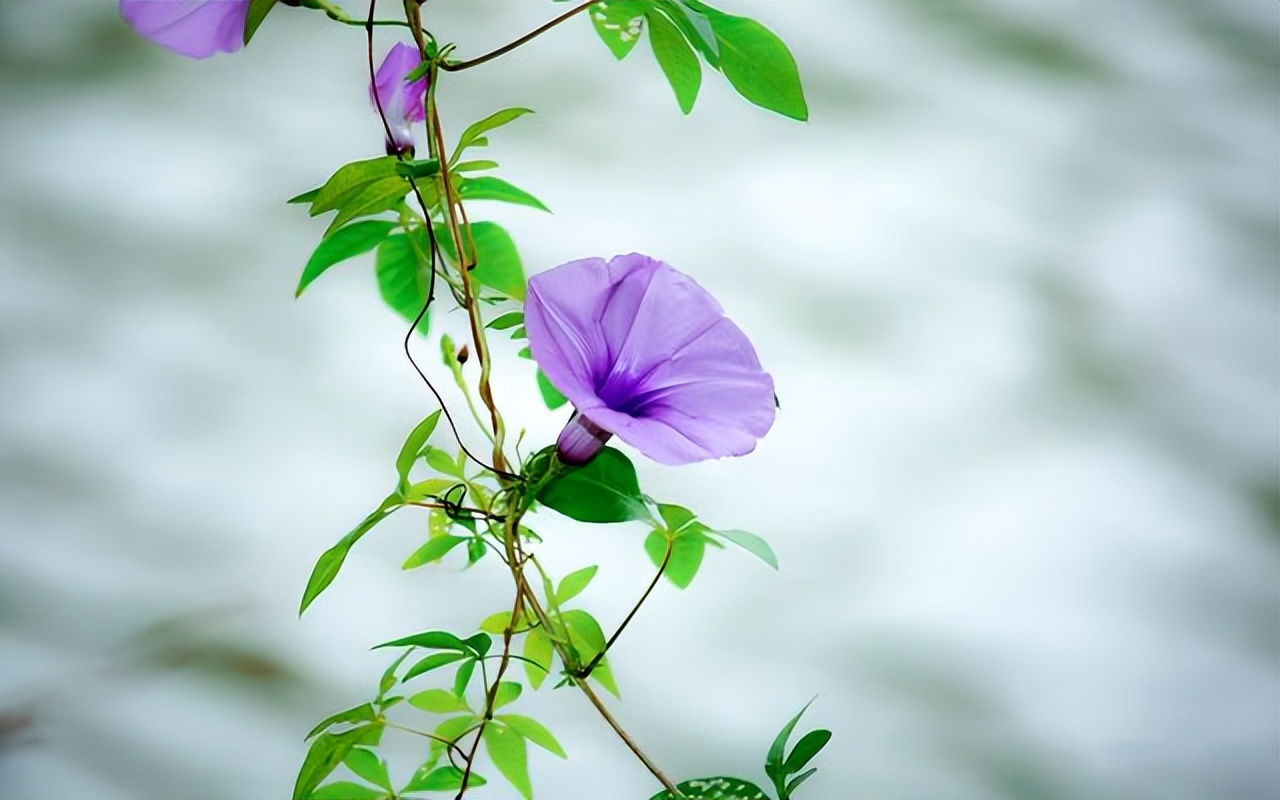 当男人很穷时你会怎样选择,如果男人觉得你很廉价你怎么做