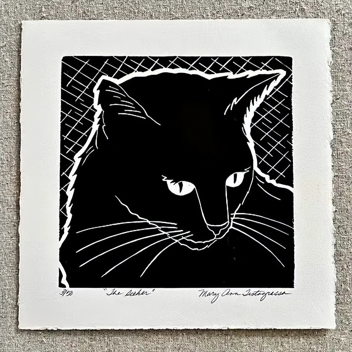 NY20+活动预告|春天来了！来“搞点颜色”噻~