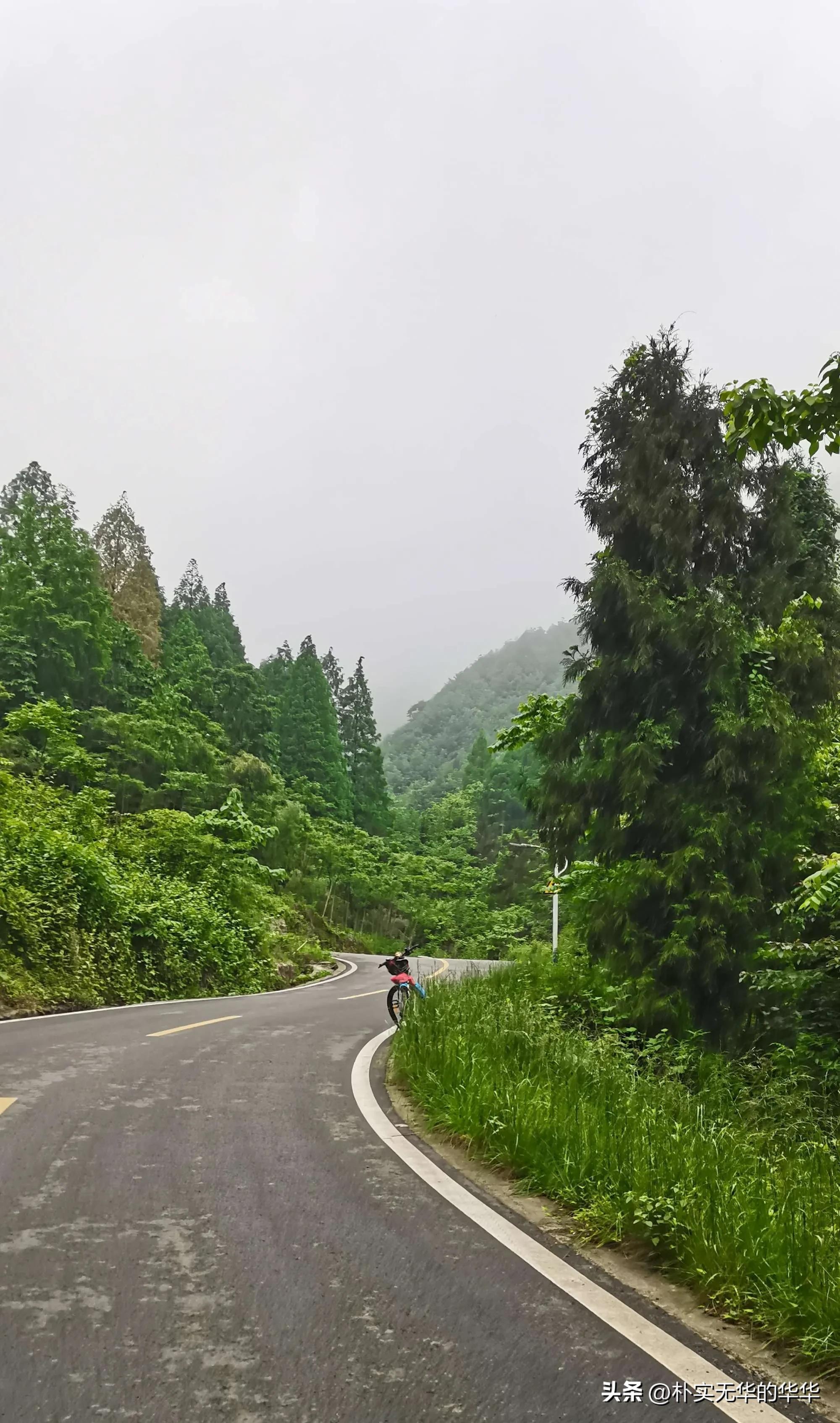 赵公山康养绿道导览图,赵公山骑行森林绿道环线南上北下