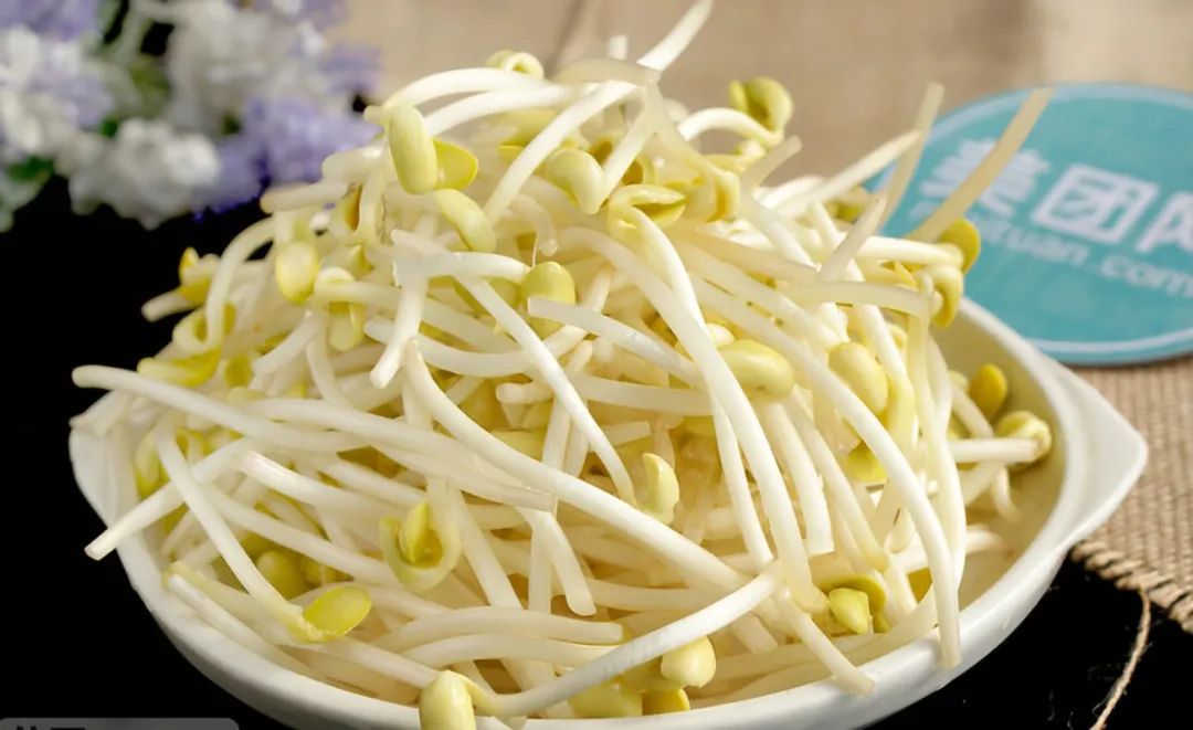 浙江人常吃的蔬菜有哪些,幼儿园常吃的蔬菜有哪些