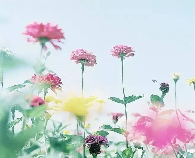 人心换人心落难见真情,岁月识人品日久识人心