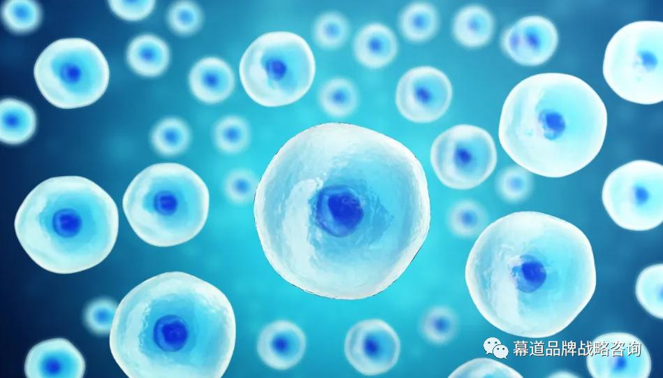 全案复盘国内顶尖生物科技企业上海张江生物策划与设计