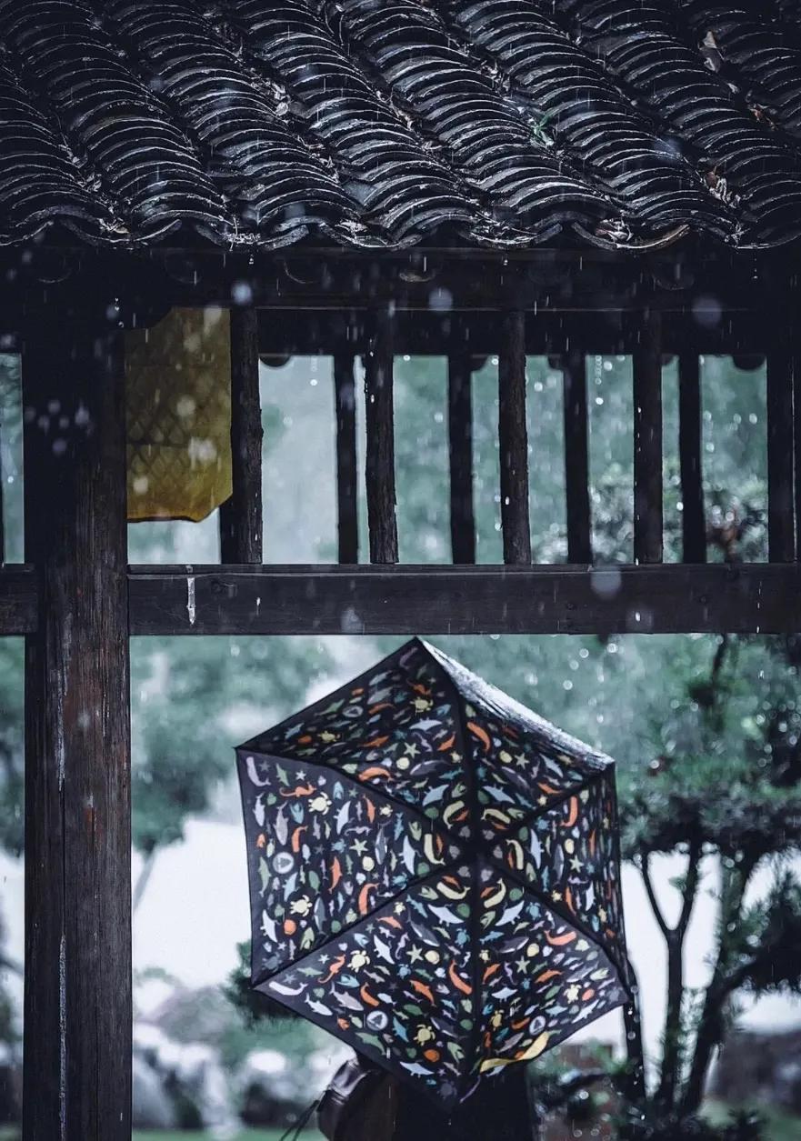 风雨无阻励志故事,风雨无阻相关的句子