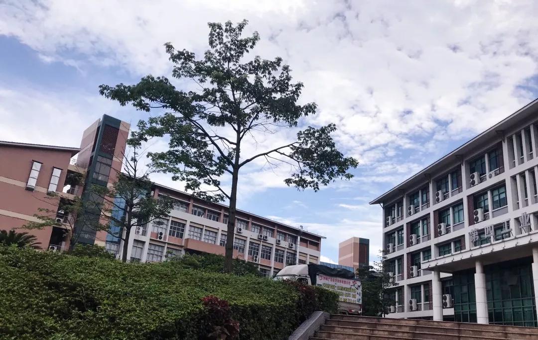 广东超本科线的大专院校排名,广东大专院校排名及分数线