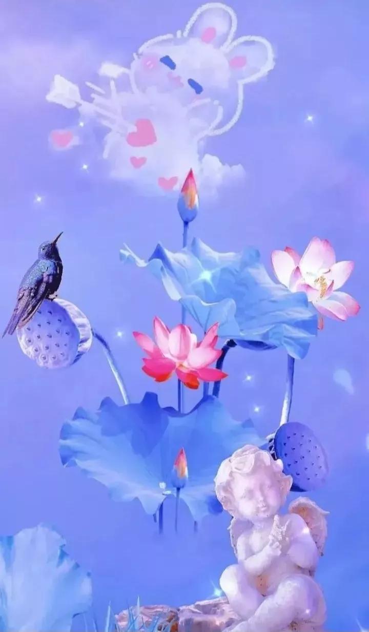 荷花壁纸手机超清全面屏,荷花千瓣莲唯美高清大图壁纸