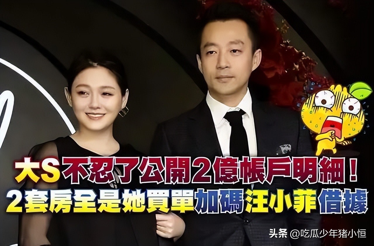 大s买的什么奢侈品,大s的奢侈品