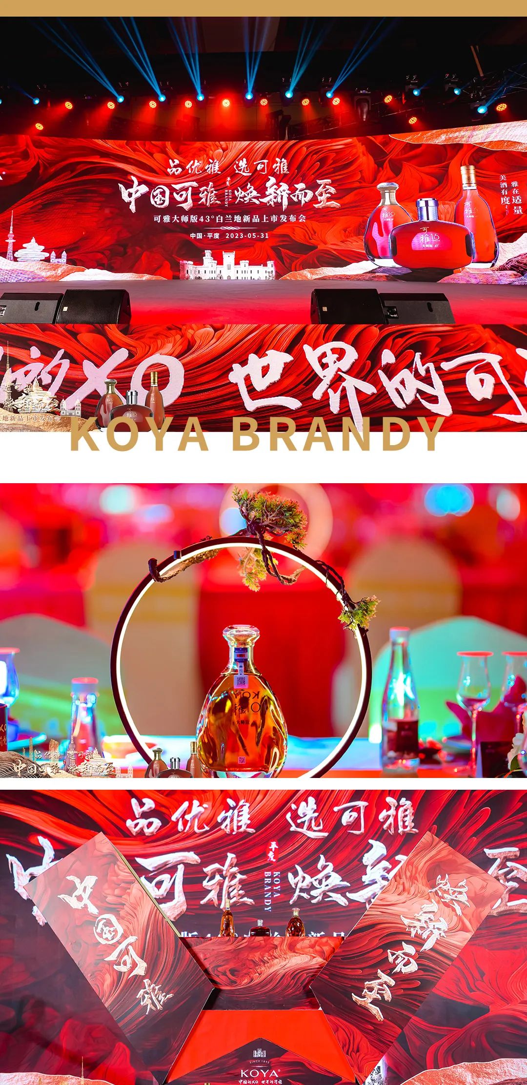 中国可雅,可雅白兰地新品