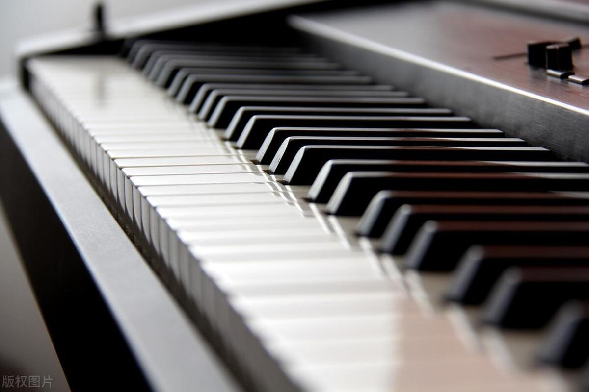 2024年国产电钢琴品牌推荐,2018年电钢琴卖得最好的是哪一款