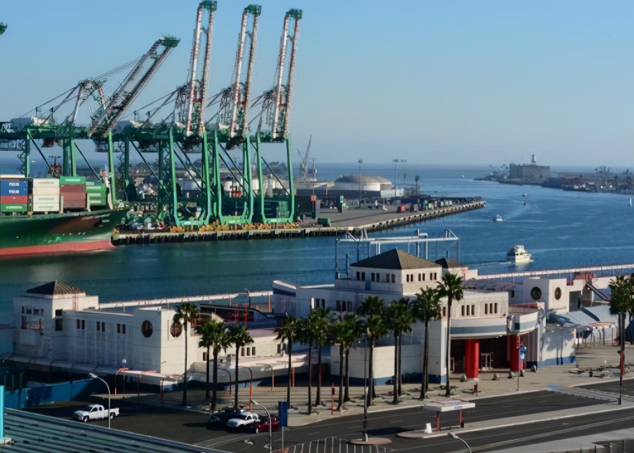 毒王叶真理有多少钱,世界毒王叶真理有多厉害