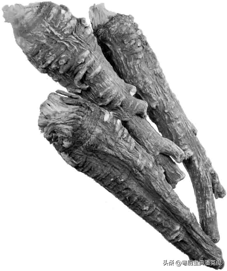 如何挑选好当归香料,怎么理解当归作为食品香料