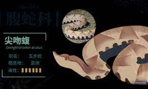 被五步蛇咬了多久能好,被五步蛇咬后退五步会解毒吗