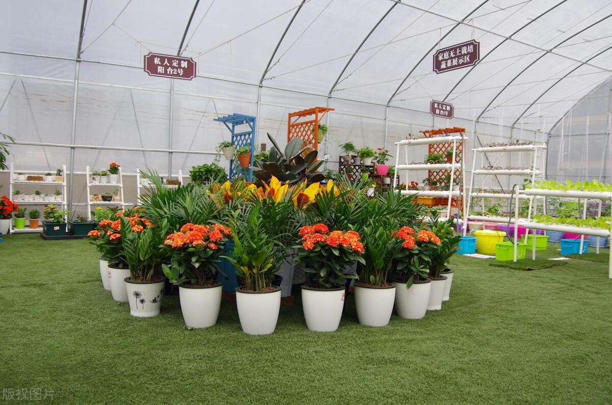 微小说乡村系列,微小说乡村振兴