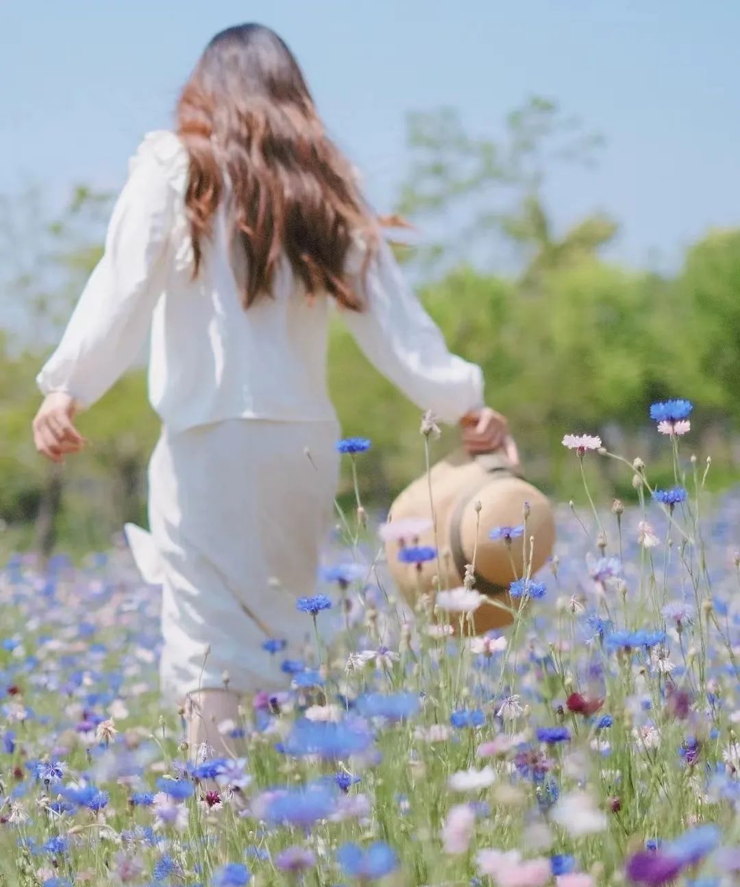 鼓浪屿可以当天预订船票攻略 (鼓浪屿还有免费的船票吗)