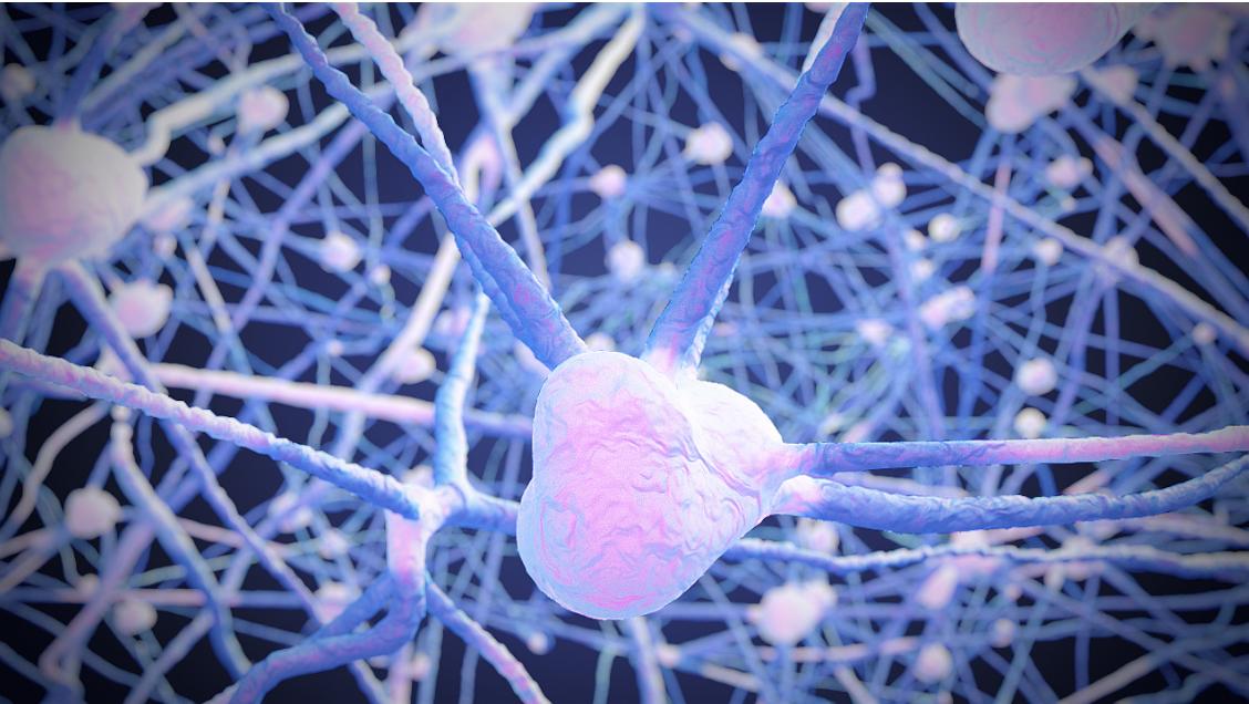 裆部真的很脆弱，撞到会很疼，男女谁更疼？