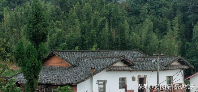 邮政银行存15万7天存款利率怎样,存邮政银行15万半年最新存款利率