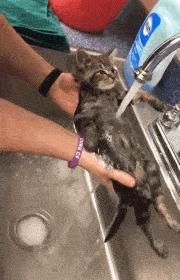 神回复：把儿子头弹破了，老婆马上回家怎么办？我只想留条命