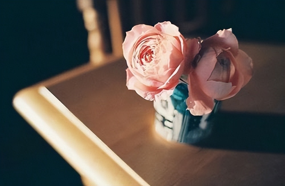 退休之后人就只剩下一件事可做,退休之后越会享受的人越好命