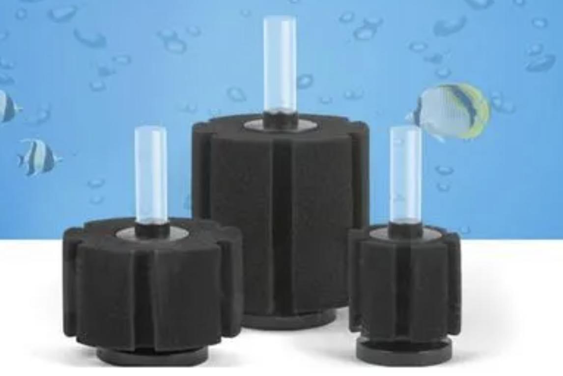 孔雀鱼的幼鱼饲养方法视频,如何饲养热带鱼孔雀鱼幼鱼