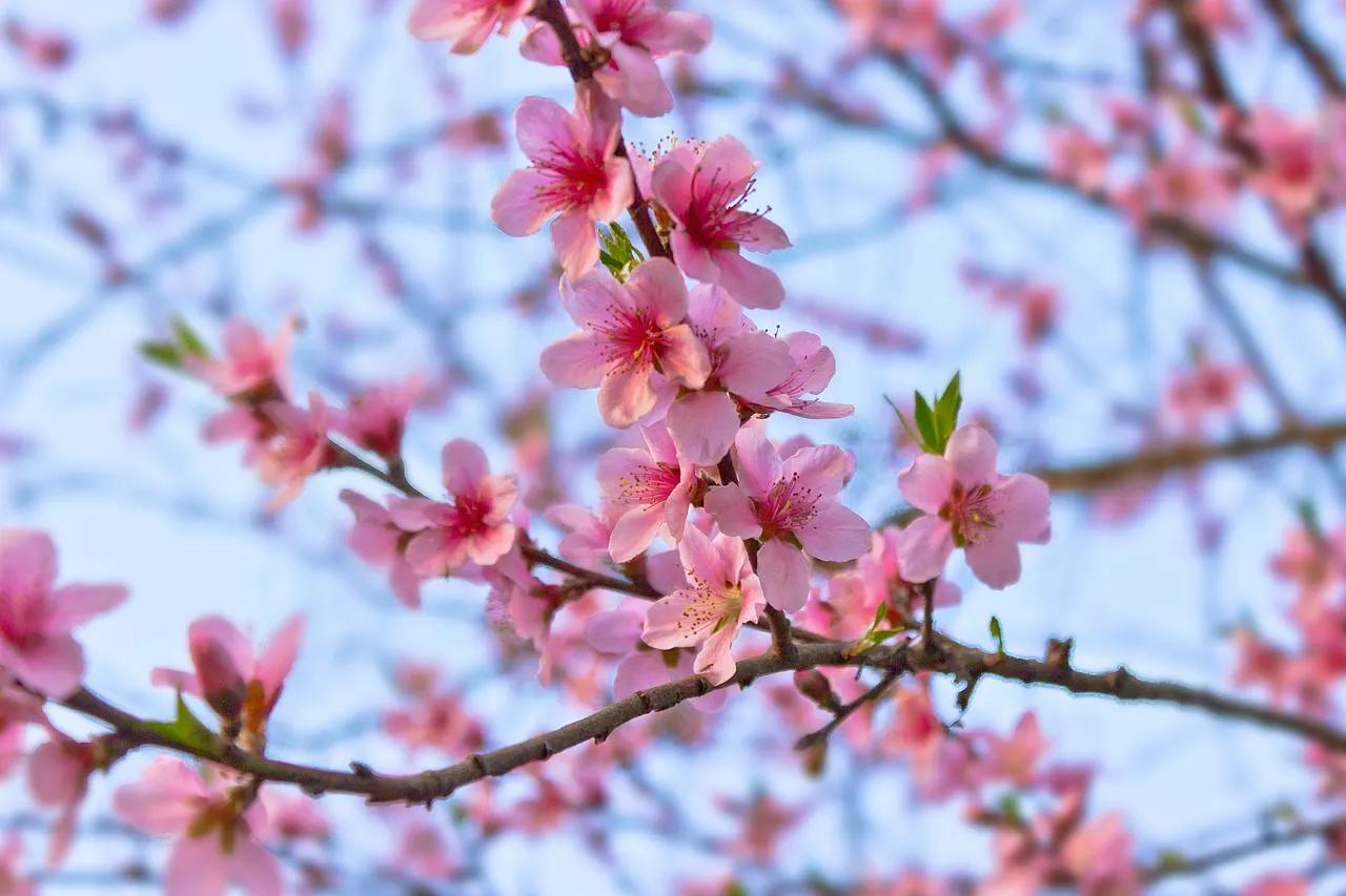 七年之痒短篇结局,七年之痒短片