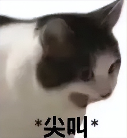 五个ai神器高效办公必备,国产ai办公神器