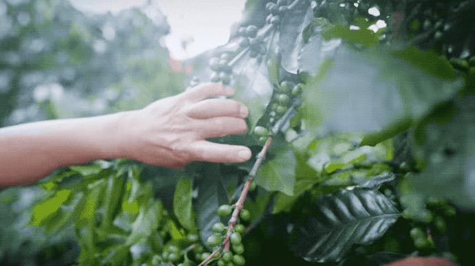 罗振宇创业行业,罗振宇2024乐观者