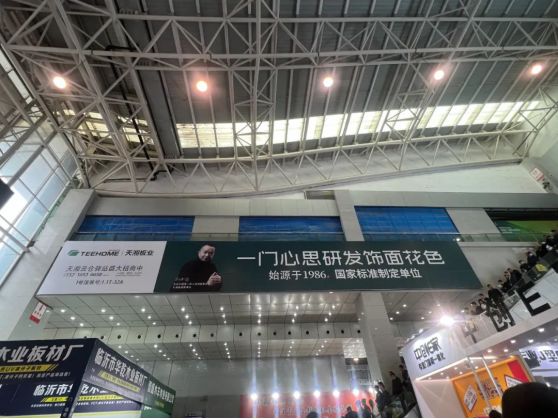 砥砺前行铸就产业崛起之路,天湘板业发展前景