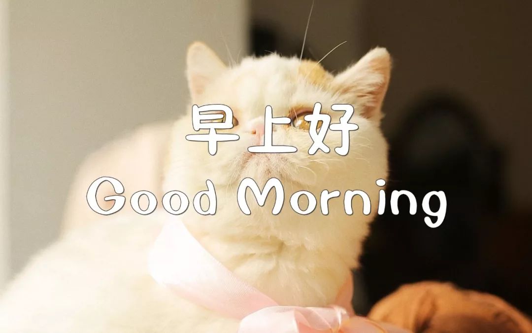 周日早上好温馨问候语图片,周末最暖心的早上好问候语