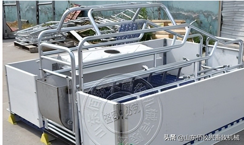 水泡粪母猪产床的尺寸是怎样的,单体产床尺寸制作方法