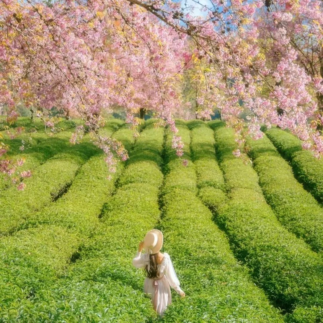 治愈系背景图高清版风景,风景素材治愈系哪里找
