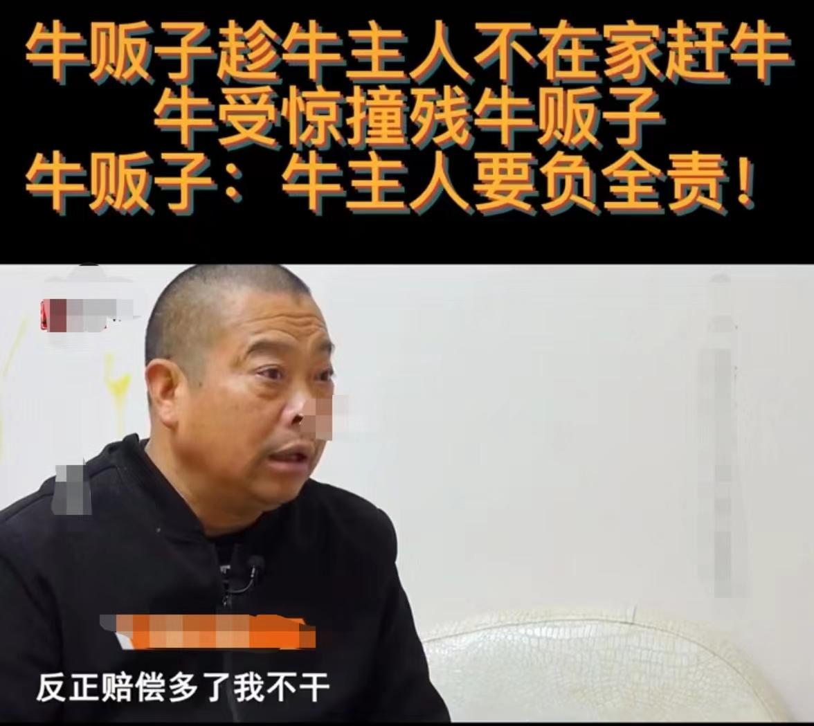 偷牛被牛撞死家属要求赔偿,卖牛被牛撞怎么分责任