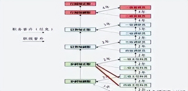 李少莉当年被采访视频,有关李少莉视频