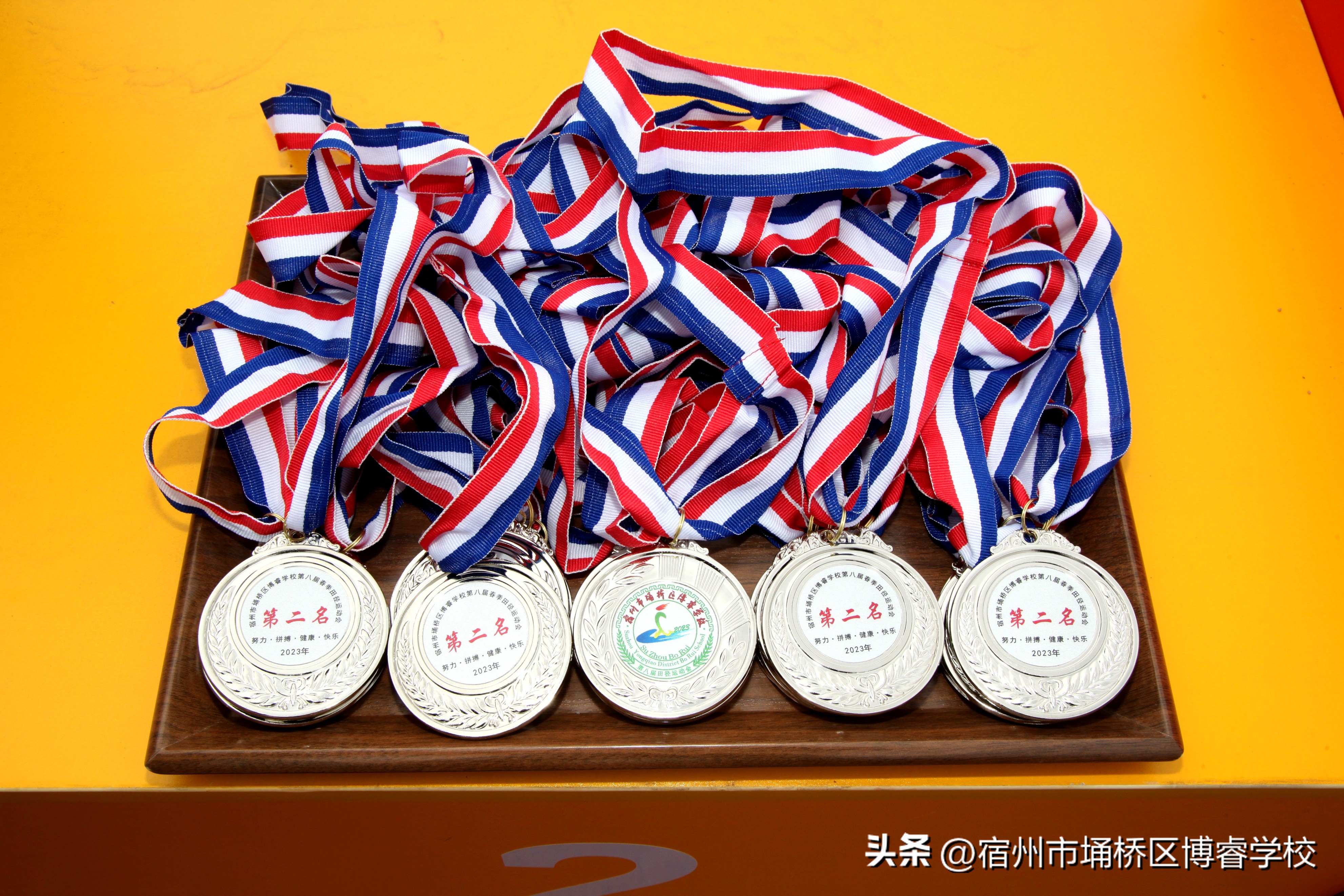 宿州市埇桥区博瑞学校运动会,博睿运动会