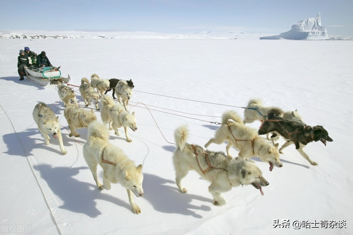 吃鱼油有啥好处吗,健身吃鱼油有什么用