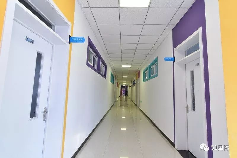 a-level课程国际学校推荐,了解国际学校课程