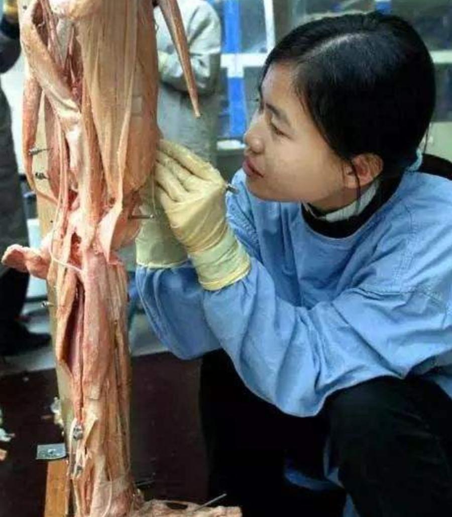 人体标本制作师王耀：一年制作50具标本，从业十几年，却依然恐惧