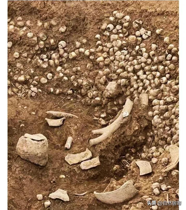 #你知道华夏文化是什么时候开始断代的吗?#