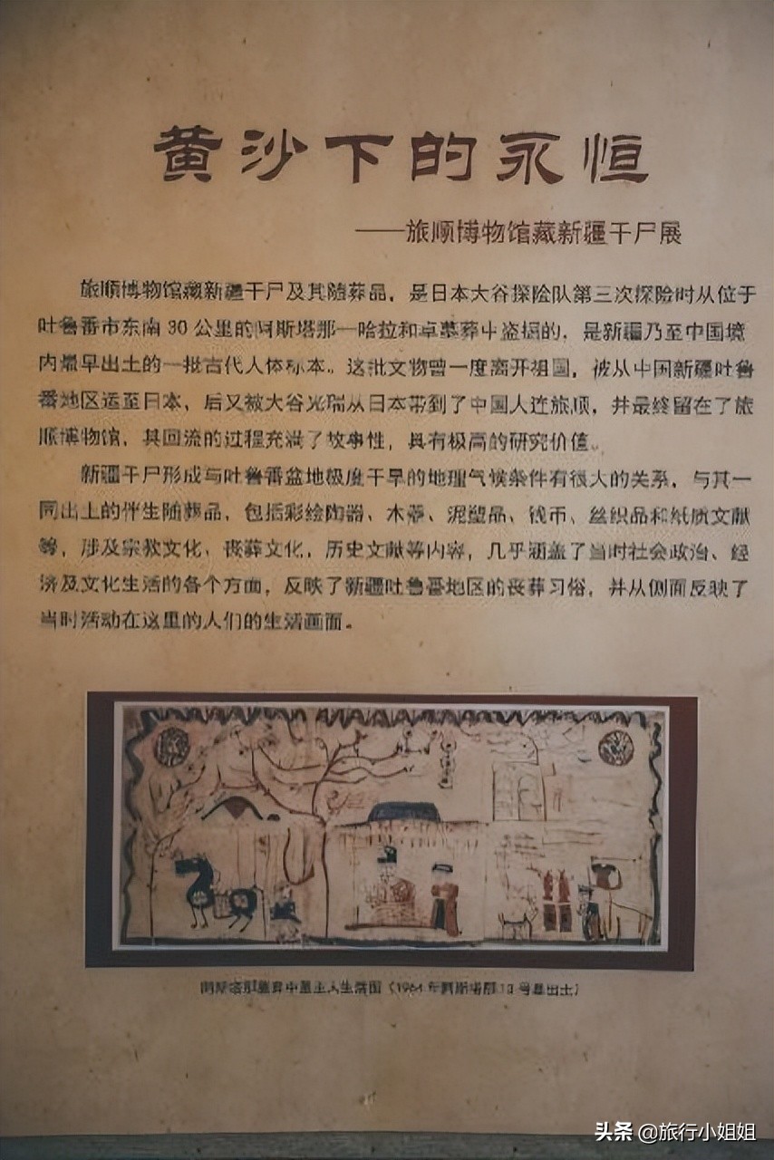 夏日海边微醺氛围感,滨城风光秀丽浪漫气息爆表