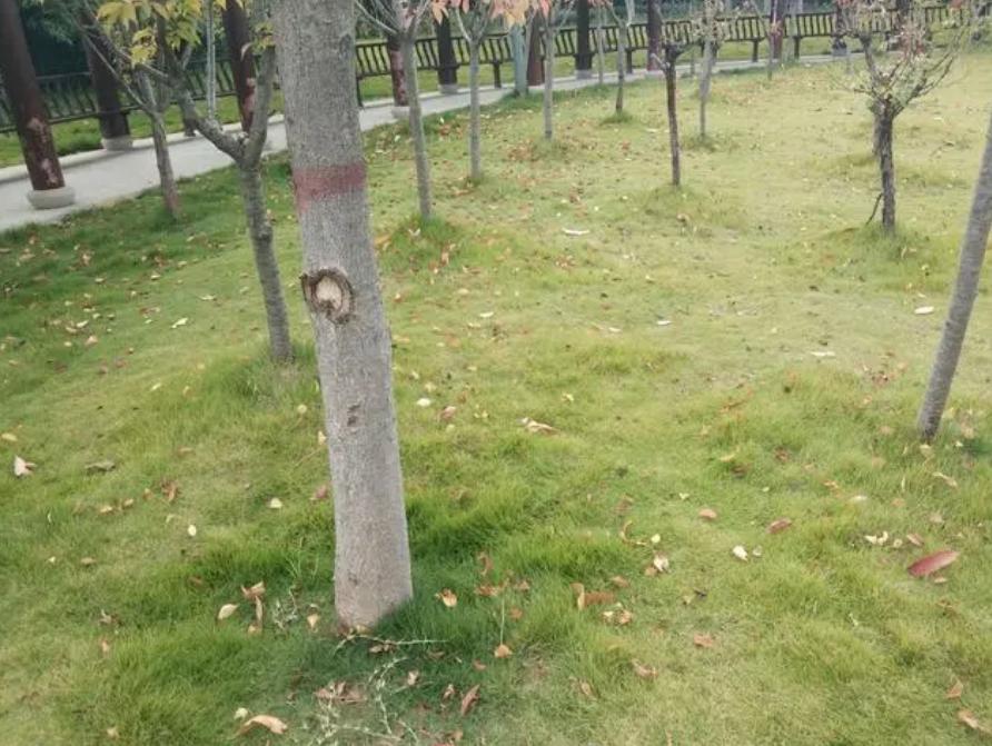 村民微信群发牢骚被拘15天,老人聊天群里发牢骚被拘留十五天