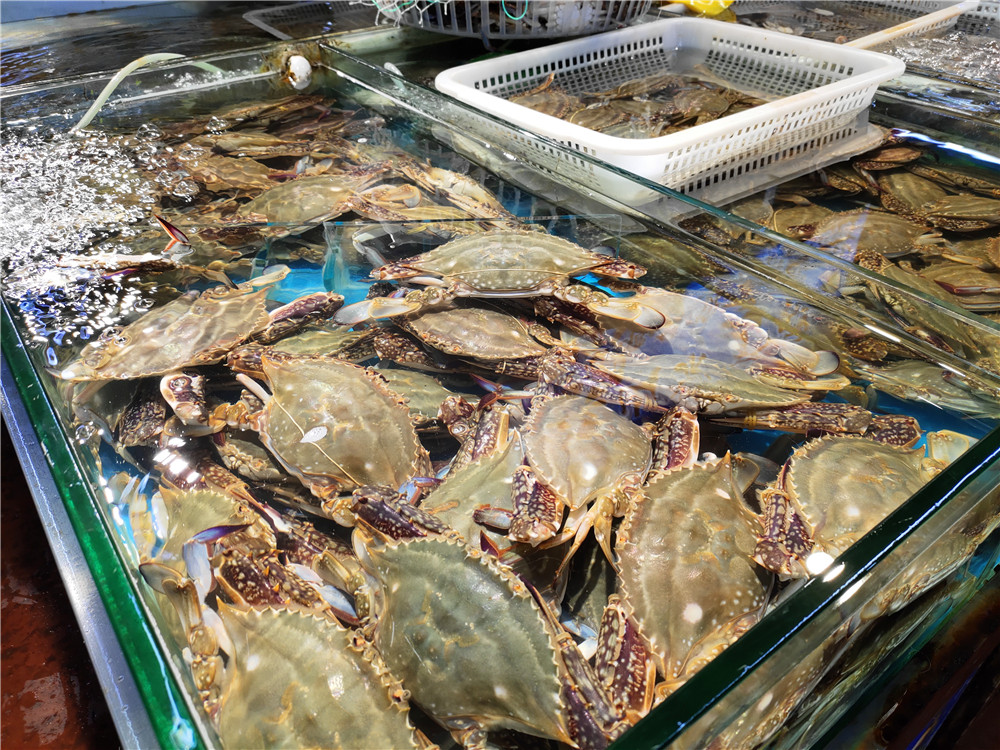 一招学会挑肥美梭子蟹,卖梭子蟹的老板教你挑梭子蟹肥瘦